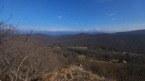 a view of a valley with mountains and trees at Hamvaskői Vadászház in Pilismarót