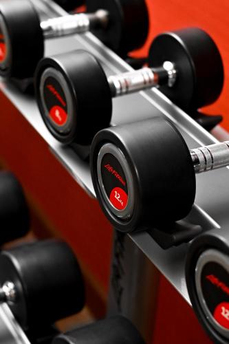a row of black dumbbells in a gym at Yerevan Place Hotel in Yerevan