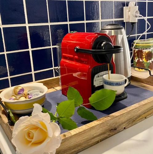 a red toaster sitting on a kitchen counter with flowers at Lena & Louis in Andros