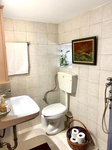 a bathroom with a toilet and a sink at Lena & Louis in Andros