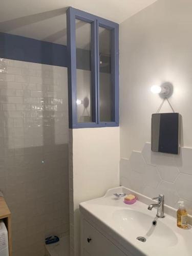 une salle de bain avec un lavabo et une douche dans l'établissement Beau 3 pièces refait à neuf à Montreuil, à Montreuil