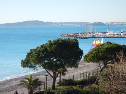 Photo de la galerie de l'établissement Acquamarina, à Villeneuve-Loubet