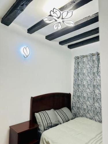 a bedroom with a bed and a ceiling fan at Apparemment Tour Eiffel- La Motte Picquet Grenelle in Paris