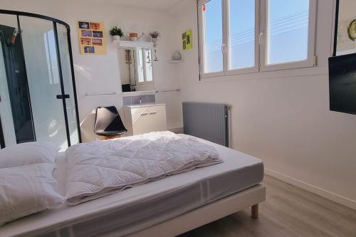 l'Ecrin de l'Aa - La Salicorne