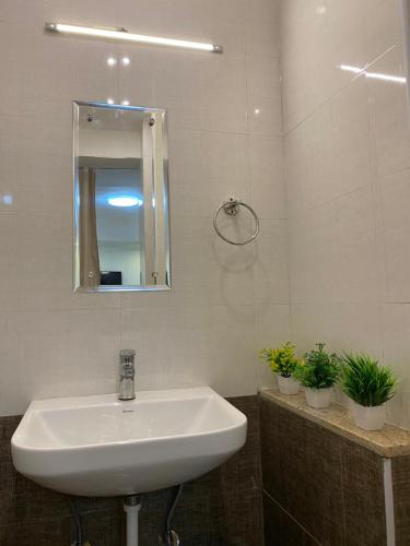 a bathroom with a sink and two potted plants at SRI VARİ studio Apartments in Kodaikānāl