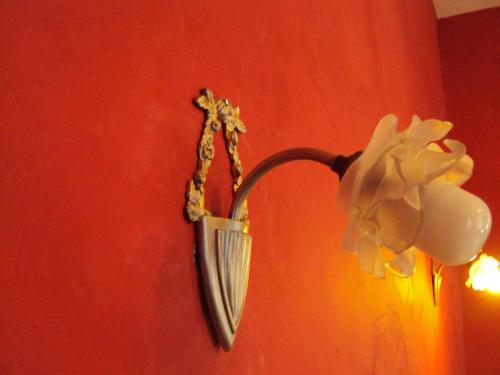 a lamp with a white flower on a wall at Les Chambres des Dames in Rieux-Minervois
