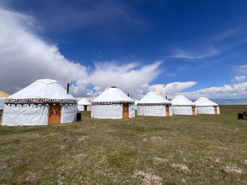 Yurt Camp 