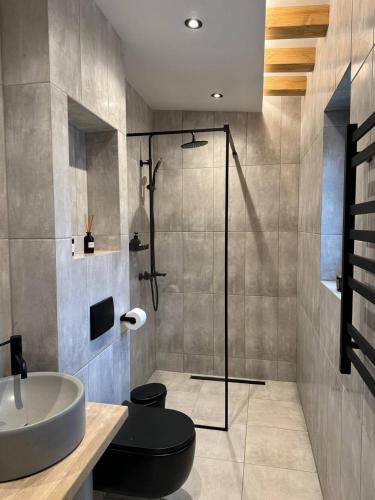 a bathroom with a toilet and a sink and a shower at Лісогори in Slavske