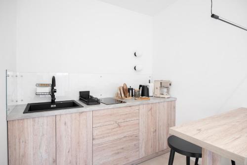 a kitchen with a sink and a counter at Лісогори in Slavske