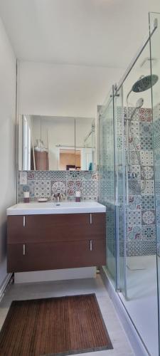 une salle de bain avec un lavabo et une douche dans l'établissement Bergerac Chambres d'hôtes Ibis d'or, à Bergerac