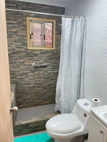 a bathroom with a white toilet and a window at Cabañas del Maipo - Cabaña Tupungato in Santiago