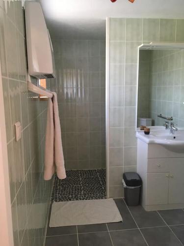une salle de bain avec douche et lavabo dans l'établissement Le gîtânes de la grotte au lion, à Arbon
