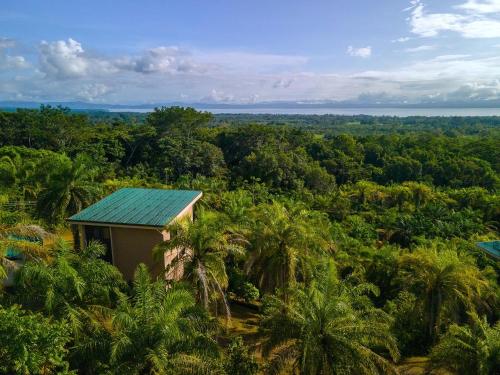 a small building in the middle of a forest of palm trees at Corcovado Private Houses-Villas-Tents-Nature-Relaxing in Puerto Jiménez