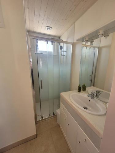 une salle de bain avec douche et lavabo dans l'établissement La cabanista, à Notre-Dame-de-Monts