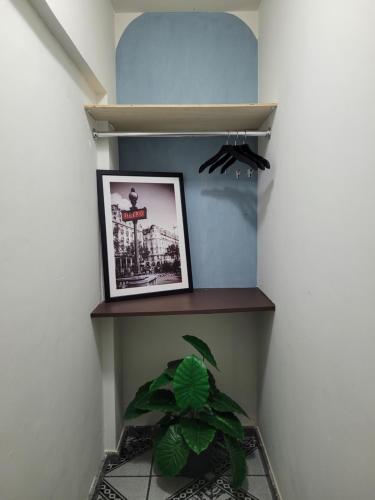 ein Regal mit einer Pflanze und einem Bild darauf in der Unterkunft Apartamento a uma quadra do mar - Bairro Itapuã in Vila Velha