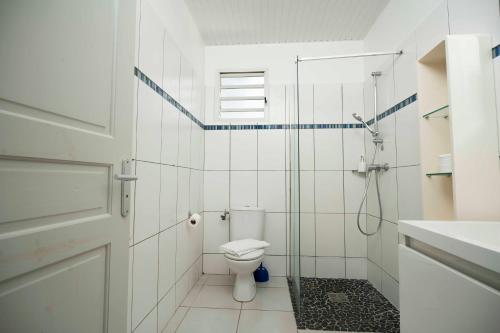 a bathroom with a toilet and a glass shower at Hôtel Village Pomme Cannelle 3 étoiles in Le Prêcheur