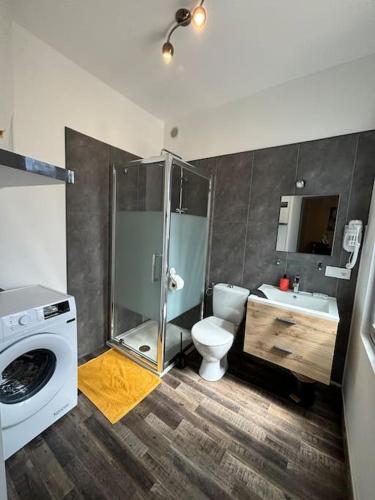 a bathroom with a shower and a toilet and a sink at City center Centre Ville, WIFI, 4 personnes Max in Épernay