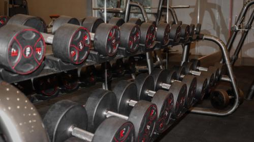 a row of dumbbells in a gym at Sandy palace Hotel in Amman
