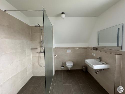 a bathroom with a shower and a sink and a toilet at Ferienhaus Hornhecht in Born
