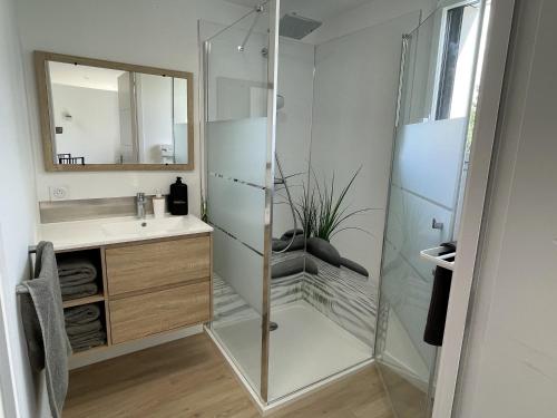 une salle de bain avec une douche en verre et un lavabo dans l'établissement Maison indépendante au calme, à Thorigné-sur-Vilaine