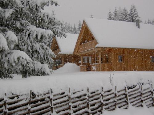 a house covered in snow with a fence at Holzmeisterhütte Teichalm-Sommeralm in Sankt Kathrein am Offenegg