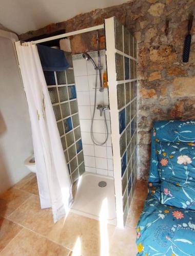 une salle de bain avec douche et toilettes dans l'établissement CABANON PROVENCAL EN PIERRES et ACCES PISCINE LUXE, à Lorgues