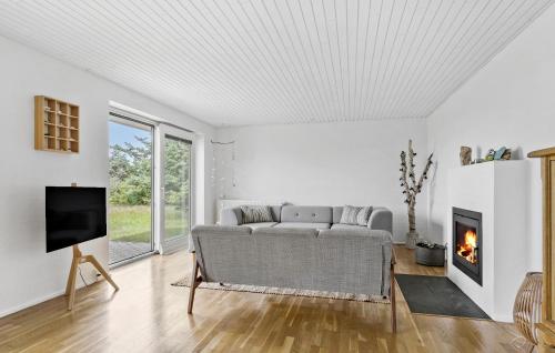 un salon avec un canapé et une cheminée dans l'établissement 4 Bedroom Beach Front Home In Thyholm, à Thyholm