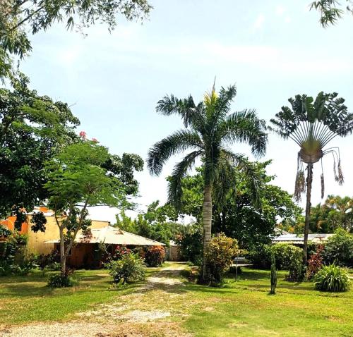 Gallery image of Fata Morgana Eco Hotel in Las Terrenas