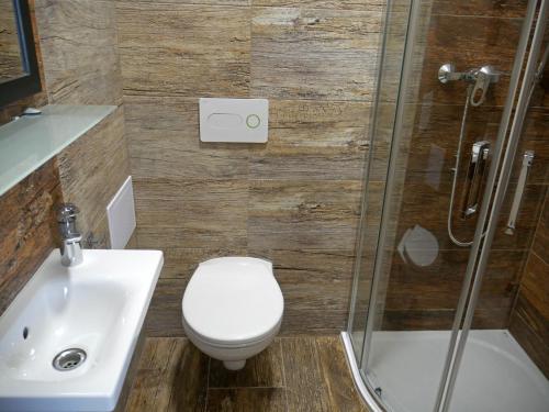 a bathroom with a toilet and a sink and a shower at Ubytování Stará in Ústí nad Labem