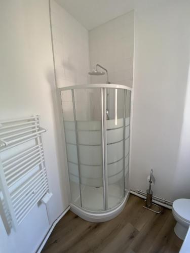 La salle de bains est pourvue d'une douche en verre et de toilettes. dans l'établissement Appartement renove apercu mer remblai, à Les Sables-dʼOlonne