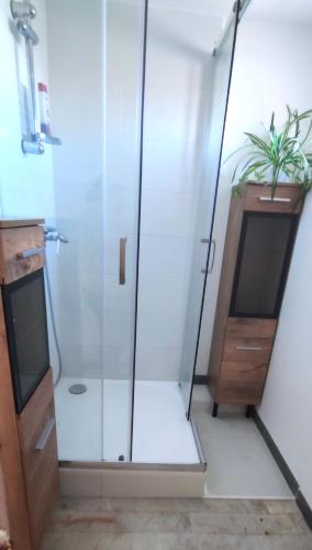 une douche avec une porte en verre à côté d'une armoire en bois dans l'établissement L'appartement de la chance, au Cap d'Agde
