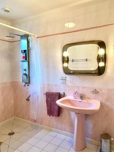 une salle de bain avec un lavabo, un miroir et une douche dans l'établissement La Terrasse du Fourcat, à Saint-Paul-de-Jarrat