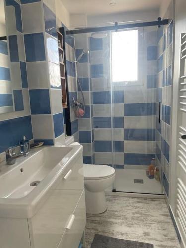 une salle de bain avec toilettes, lavabo et douche dans l'établissement Appartement de 40 m2 à Palavas les Flots, à Palavas-les-Flots