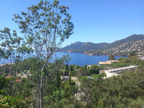 - une vue sur un lac depuis une colline arborée dans l'établissement Un rêve au bord de mer, à Théoule-sur-Mer