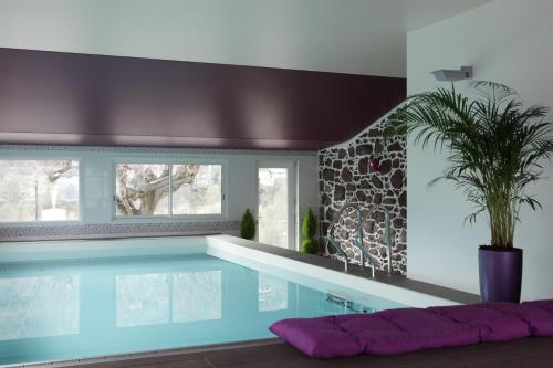 - une piscine dans une pièce dotée d'une plante en pot dans l'établissement La Maison Vésubie, à Roquebillière