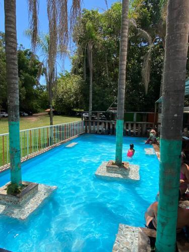 a pool at a resort with palm trees at Pousada Paraíso das Águas in Itirapina