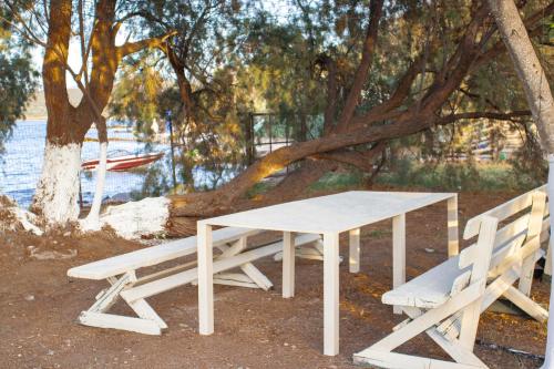 Φωτογραφία από το άλμπουμ του Lemon Tree Dome House στην Παραλία Καλλονής