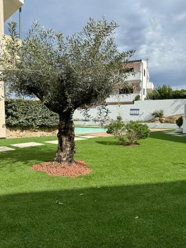 Сад в Cozy House with garden & pool