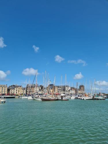 a bunch of boats are docked in a harbor at Appartement, terrasse & barbecue in Dieppe
