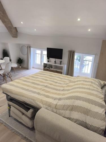 une chambre avec un grand lit et une télévision dans l'établissement Le toit du Rhône, Studio, à Tournon-sur-Rhône