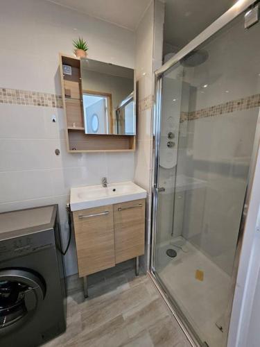 une salle de bain avec douche et lavabo et une machine à laver dans l'établissement Le Duplex Vercingétorix proche Paris et Disney, à Champigny-sur-Marne