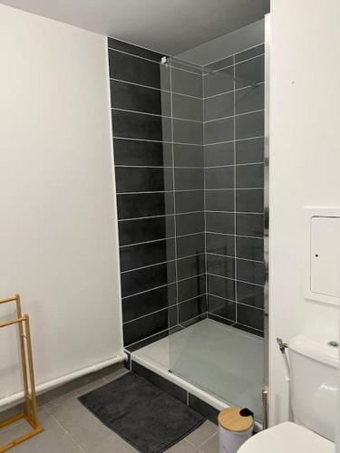 une salle de bain avec une douche en verre et des toilettes dans l'établissement Appartement neuf T2 Livry-Gargan, à Livry-Gargan