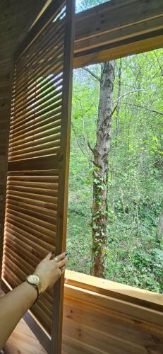 a woman looking out of a window at a tree at Cottage lima in Kutaisi