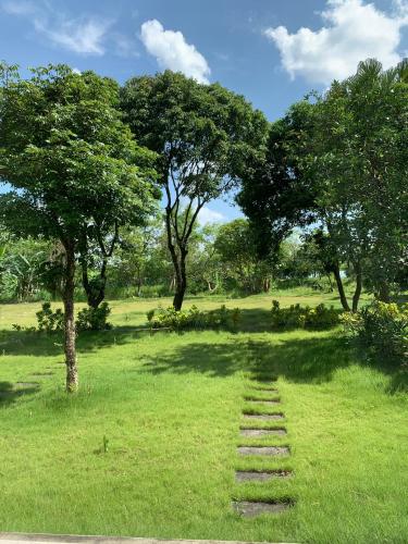 a stepping stone path in a field with trees at Charm Vân Long in Ninh Binh