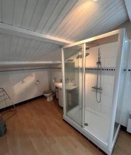 une salle de bain avec une douche en verre et des toilettes dans l'établissement Villa 14 personnes Piscine et spa, à Jard-sur-Mer