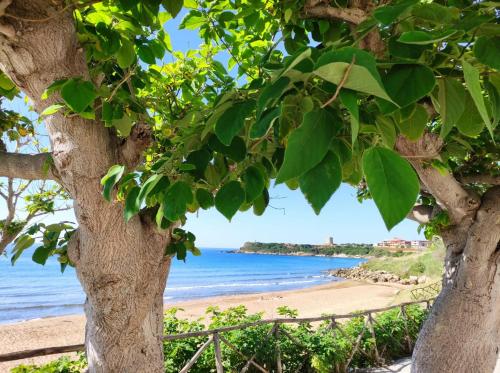 a view of a beach through a tree at B&B Capo Rizzuto Armenes in Capo Rizzuto