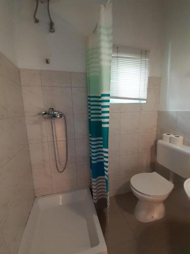 łazienka z prysznicem, toaletą i umywalką w obiekcie Studio apartman Vera w Ražancu