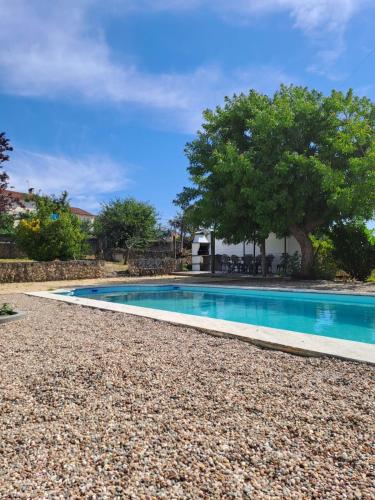 a swimming pool with a tree in the background at Casa da Mãe Ju in Porto de Mós