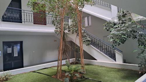 a tree in the courtyard of a building at Limpi's Cozy Place in Sparti