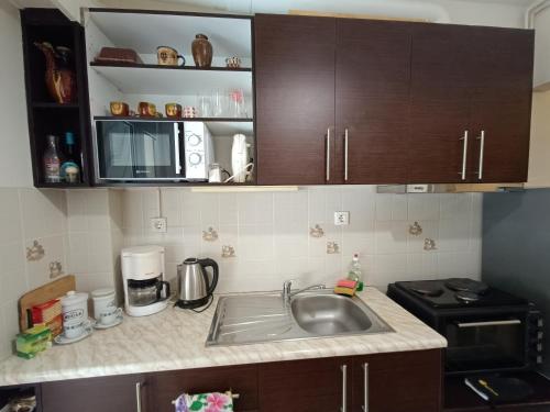 a kitchen with a sink and a microwave at Classical beauty near Acropolis! in Athens